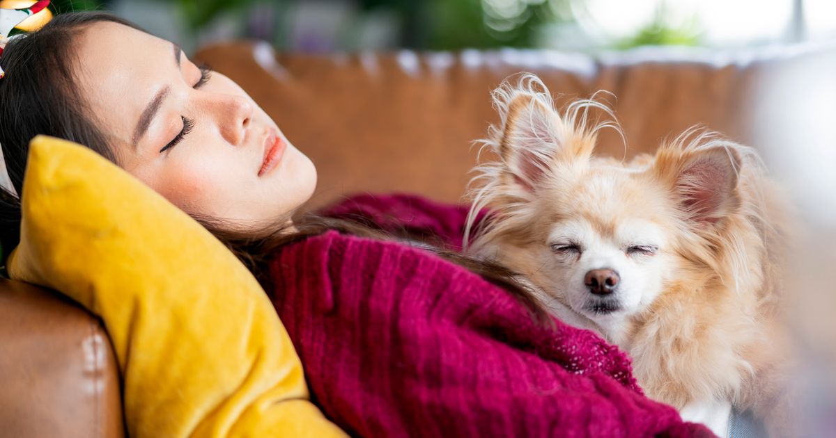 This Is Officially The Perfect Nap Length, According To Science - fox world news today - World Updates - Public News Time