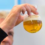 Ερχεται μπύρα σε σκόνη - Μια γερμανική ζυθοποιία κάνει την αρχή