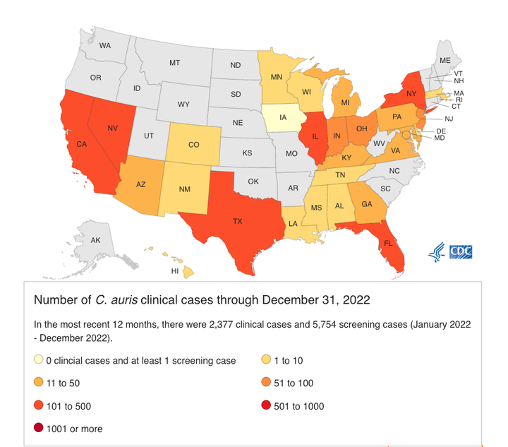 A map showing the number of Candida auris infection cases in the US through December 31, 2022, and where the cases were reported. Scientists are sounding the alarm on the rapidly spreading fungus and warning health care facilities to improve hygiene protocols to curb the spread.