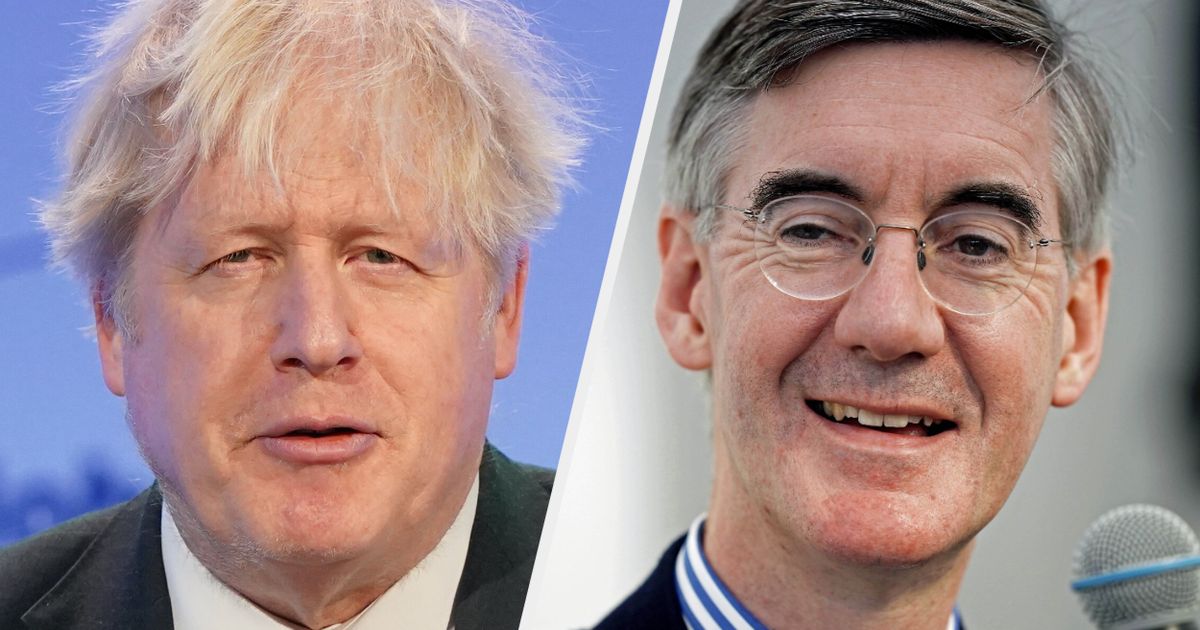 Photo of Boris Believer Jacob Rees-Mogg Insists Johnson Would Win By-Election