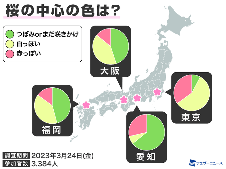 桜の中心の色は？