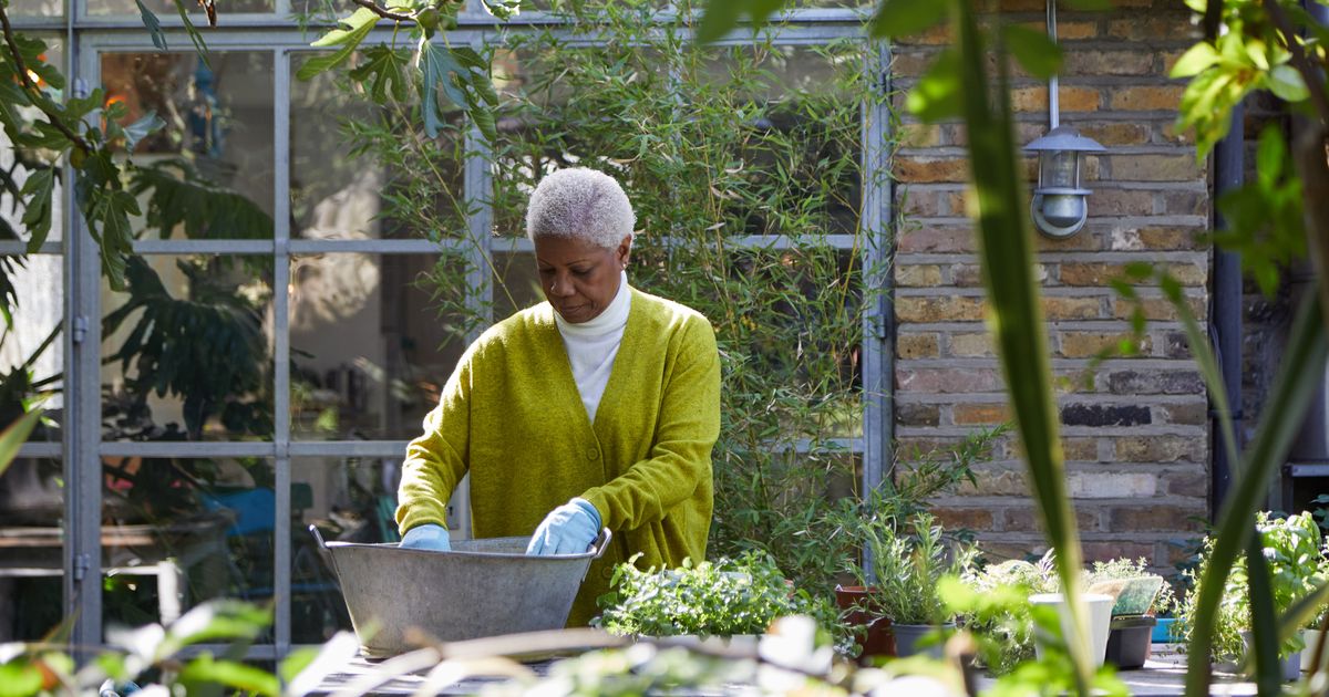 8 Essential Gardening Tips To Keep Your Garden Green