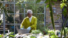 Essential Gardening Tips To Keep Your Nursery Green