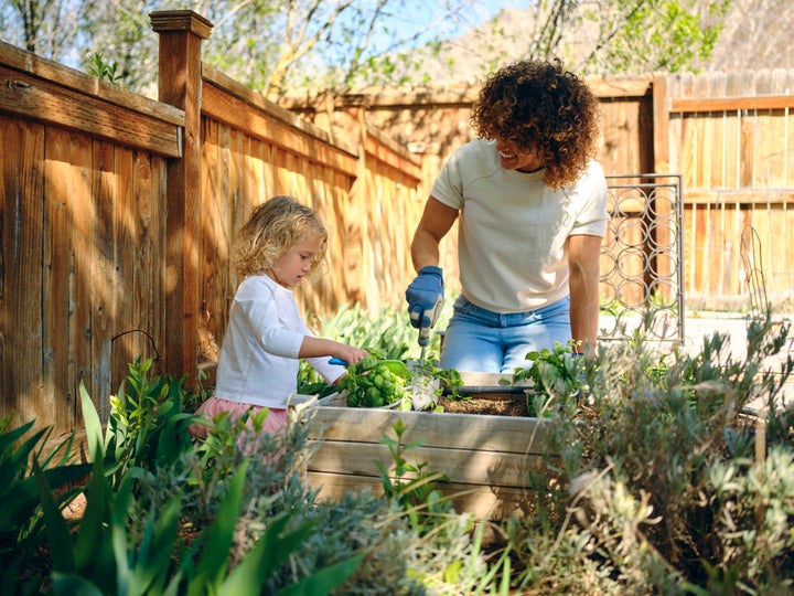 Woman plants herbs in a backyard garden