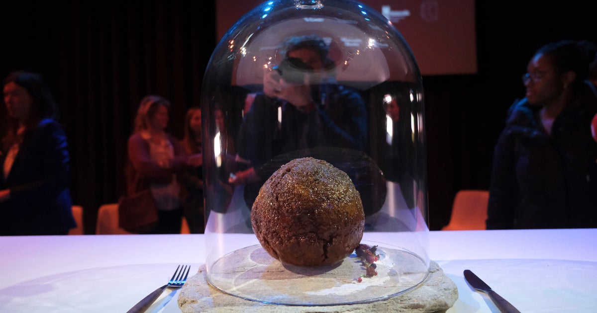 NextImg:Australian Company Makes Mammoth Meatball Using Actual Mammoth DNA