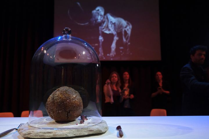  An Australian company has lifted the glass cloche on a meatball made of lab-grown cultured meat using the genetic sequence from the long-extinct mastodon. The high-tech treat isn't available to eat yet - the startup says it is meant to fire up public debate about cultivated meat. (AP Photo/Mike Corder)