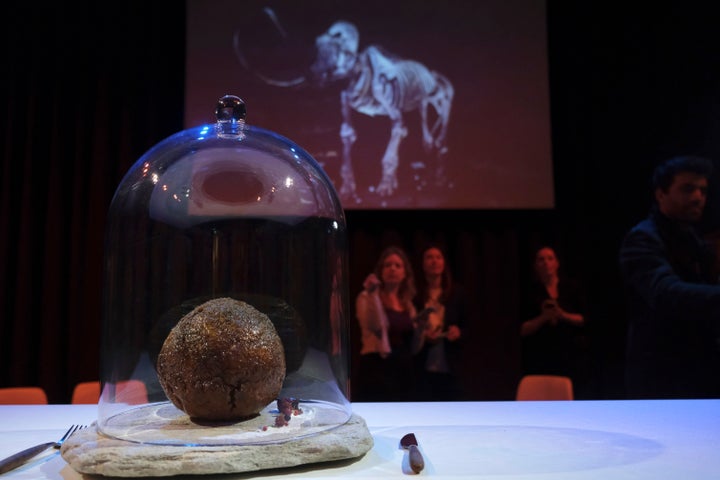 An Australian company has lifted the glass cloche on a meatball made of lab-grown cultured meat using the genetic sequence from the long-extinct mastodon. The high-tech treat isn't available to eat yet - the startup says it is meant to fire up public debate about cultivated meat. (AP Photo/Mike Corder)