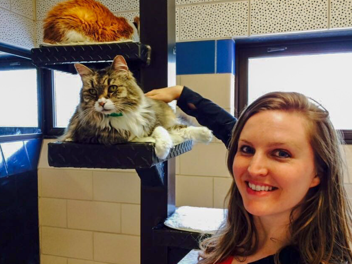 The author meets Waffle Cone at Animal Humane Society in 2016.