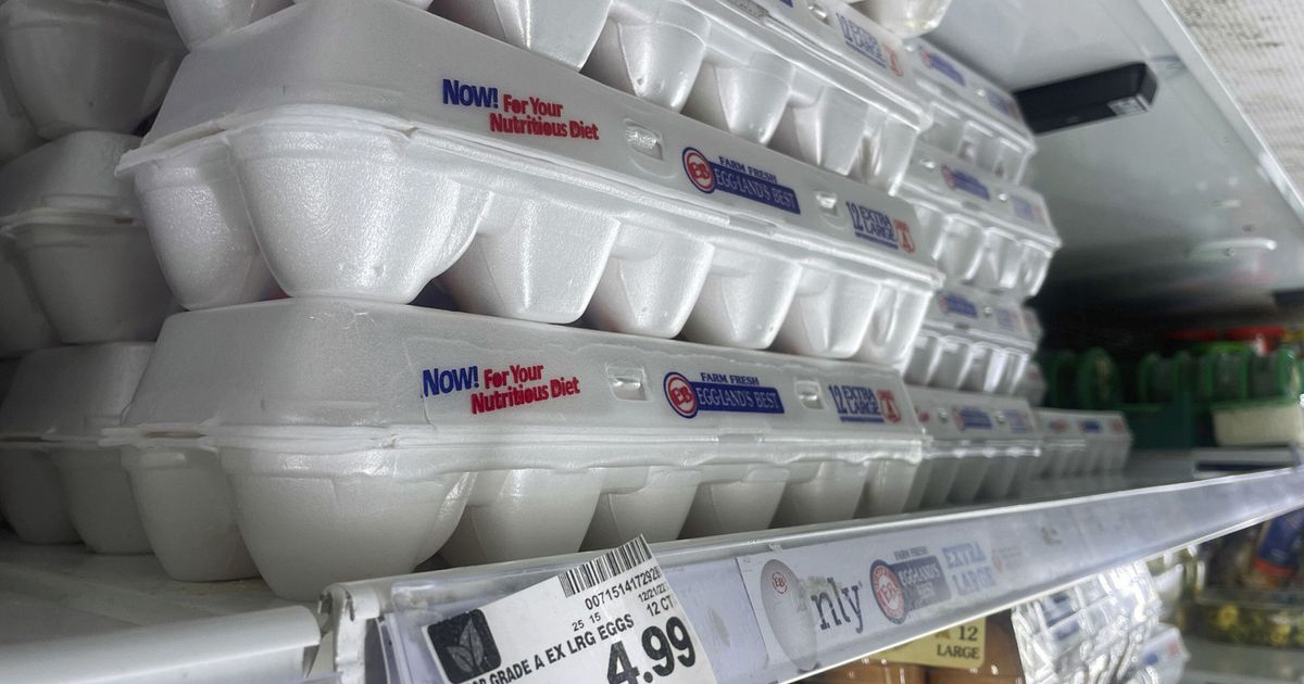 Größter US-Eierproduzent meldet massiven Gewinn bei steigenden Preisen