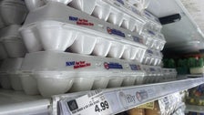 Largest U.S. Egg Producer Reports Massive Profit As Prices Soared