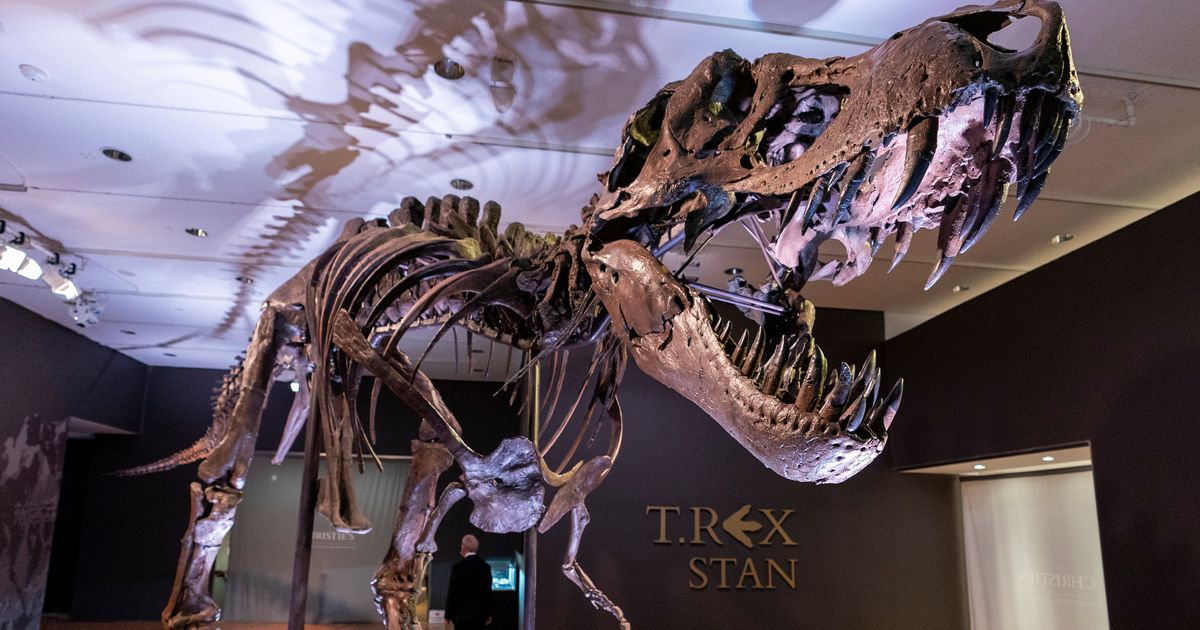 Une nouvelle étude suggère que le T. Rex avait des lèvres écailleuses