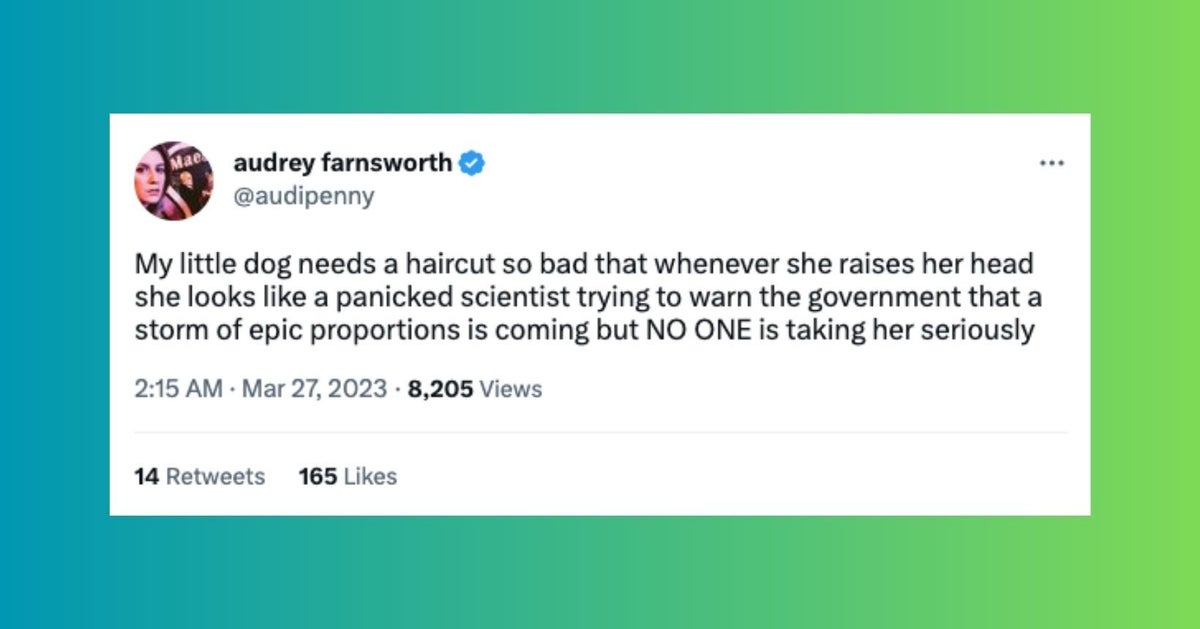 The Funniest Tweets From Women This Week - Vimarsana News