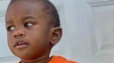 Body Of Missing Florida Toddler Found In Alligator’s Jaws After Search