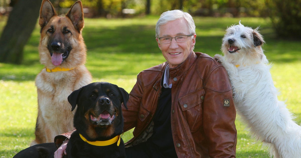 Battersea “submergé” par les dons après la mort de Paul O’Grady