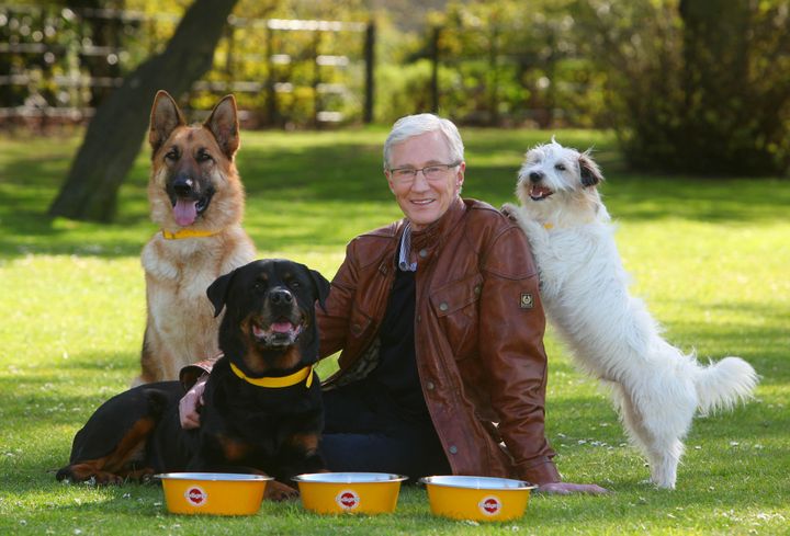 Paul O'Grady was known for his passionate love of dogs