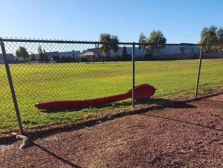 This photo provided by Michael Foster shows a 15-foot red spoon lying behind a fence in Phoenix on Monday, April 3, 2023. Foster found the giant red spoon while playing Pokemon GO. It was stolen from an Arizona Dairy Queen on March 25 and sparked a mystery on social media. (Michael Foster via AP)