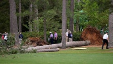 Trees Fall Near Spectators During Masters Tournament; No Injuries Reported