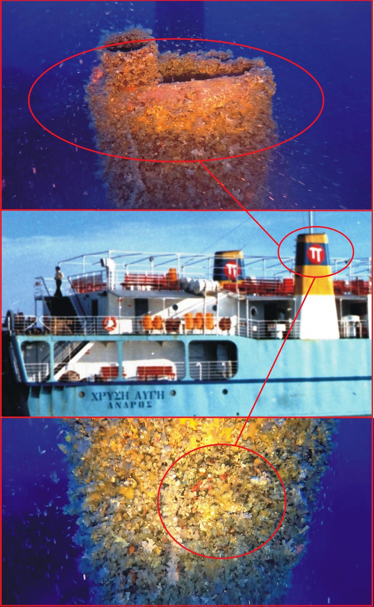 Υποβρύχιες φωτογραφίες του ναυαγίου σε αντιπαραβολή με τα σημεία αναγνώρισης και ταυτοποίησης.