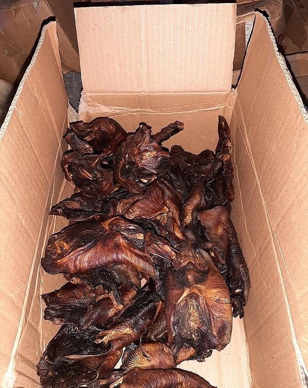 German officials seized cooked bats and nearly a ton of unrefrigerated fish after police stopped a van that had entered the country from Belgium, authorities said Wednesday.