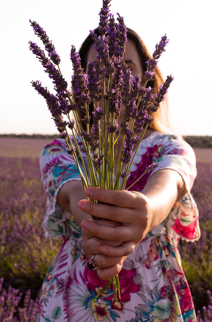 Caucasian girl with a yellow dress, with her hair down and a bouquet of lavender flowers in her hands. Lavender fields in the background.