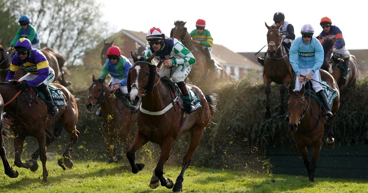 Photo of Why Do Horses Die At The Grand National?