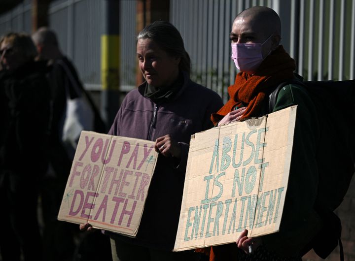 Animal rights protesters hold placards outside the racecourse on Saturday