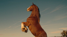 Budweiser’s Hyper-Patriotic Ad After Dylan Mulvaney Backlash Hails The Red, White And Brew