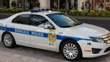 2 Shot Dead In Altercation At Honolulu Cockfight