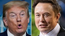 Donald Trump Throws Hissy Fit Over Elon Musk Revelation