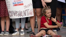 Tennessee Moves To Shield Gun Firms After School Shooting
