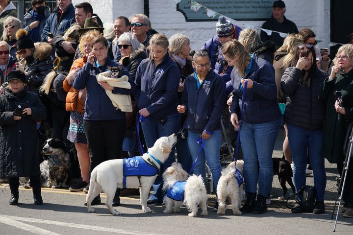 Many wellwishers brought their dogs as a tribute to Paul