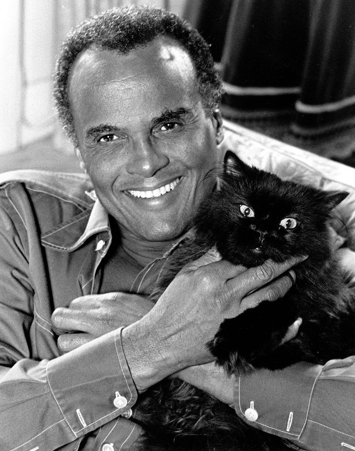 Harry Belafonte poses with his cat in New York city on Oct. 6, 1981. (AP Photo/M. Reichenthal)