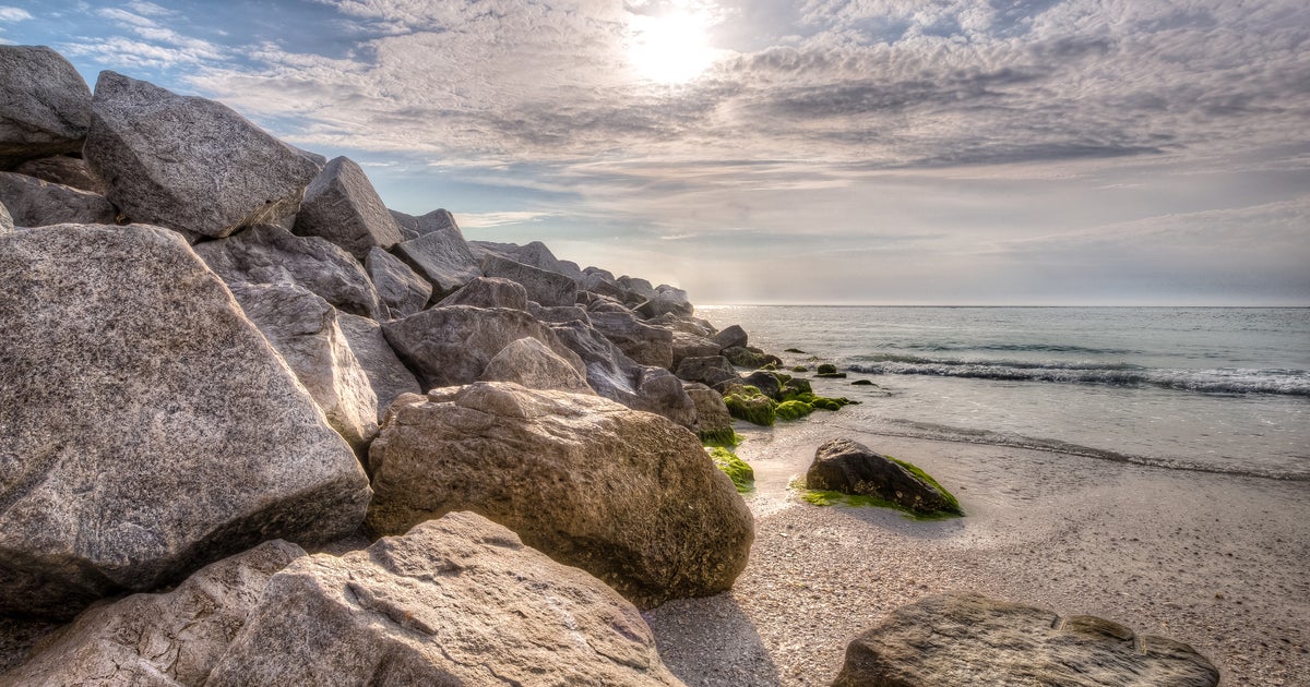Dad, 10-Year-Old Daughter Die After Getting Pulled Away By Rip Current - Vimarsana News