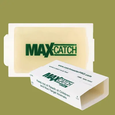 MAX-CATCH, professional sticky trap