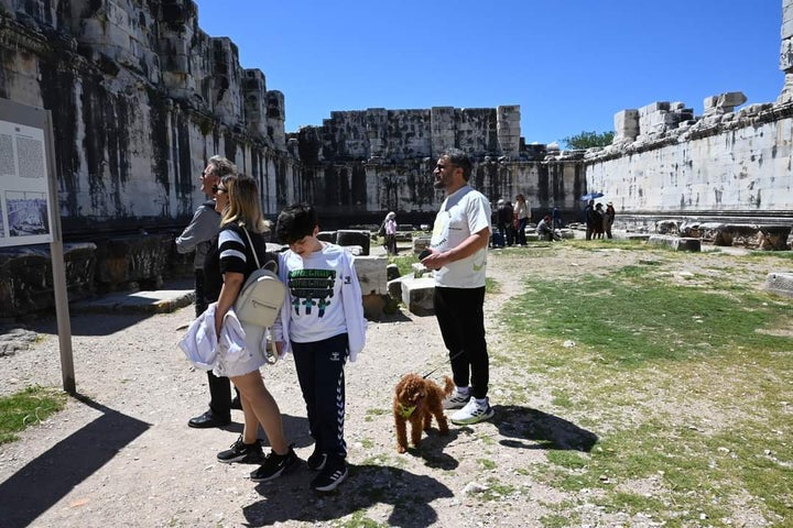 Ζώα συντροφιάς σε αρχαιολογικό χώρο του εξωτερικού