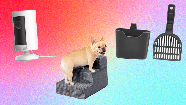 Dog sale in 2024 amazon