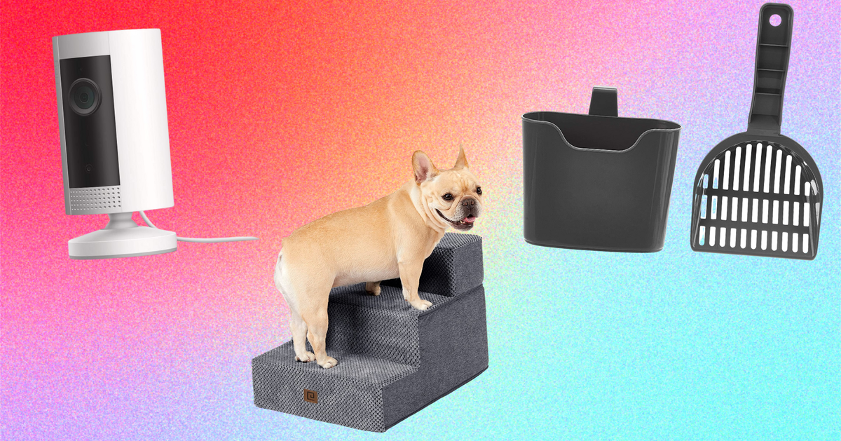 The Best EarlyAccess Deals From Amazon's Big Pet Sale HuffPost Life