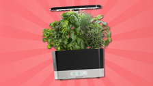 This Is The Perfect Mother’s Day Gift — And It’s Almost 60% Off Right Now