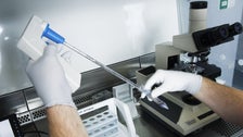  Dutch Court Bans Sperm Donor Who Fathered At Least 550