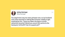 26 Of The Funniest Tweets About Cats And Dogs This Week