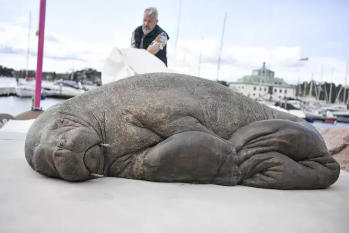 The sculpture of the walrus 'Freya' is unveiled in Oslo, Norway, on April 29. 