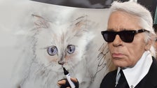 No, Karl Lagerfeld’s Pet Cat Choupette Won’t Be At Met Gala