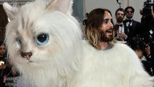 One Celebrity Took The Met Gala Theme A Little Too Literal