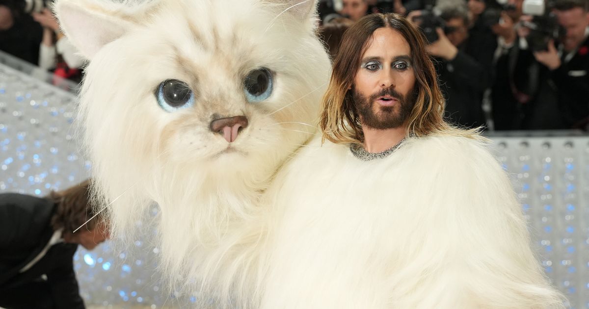 This Dog Had The Best Reaction To Jared Leto At The Met Gala | HuffPost ...