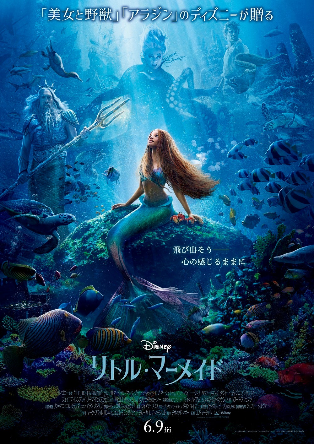 可愛すぎる】全7種類も！アリエル・セバスチャン・アースラなどの
