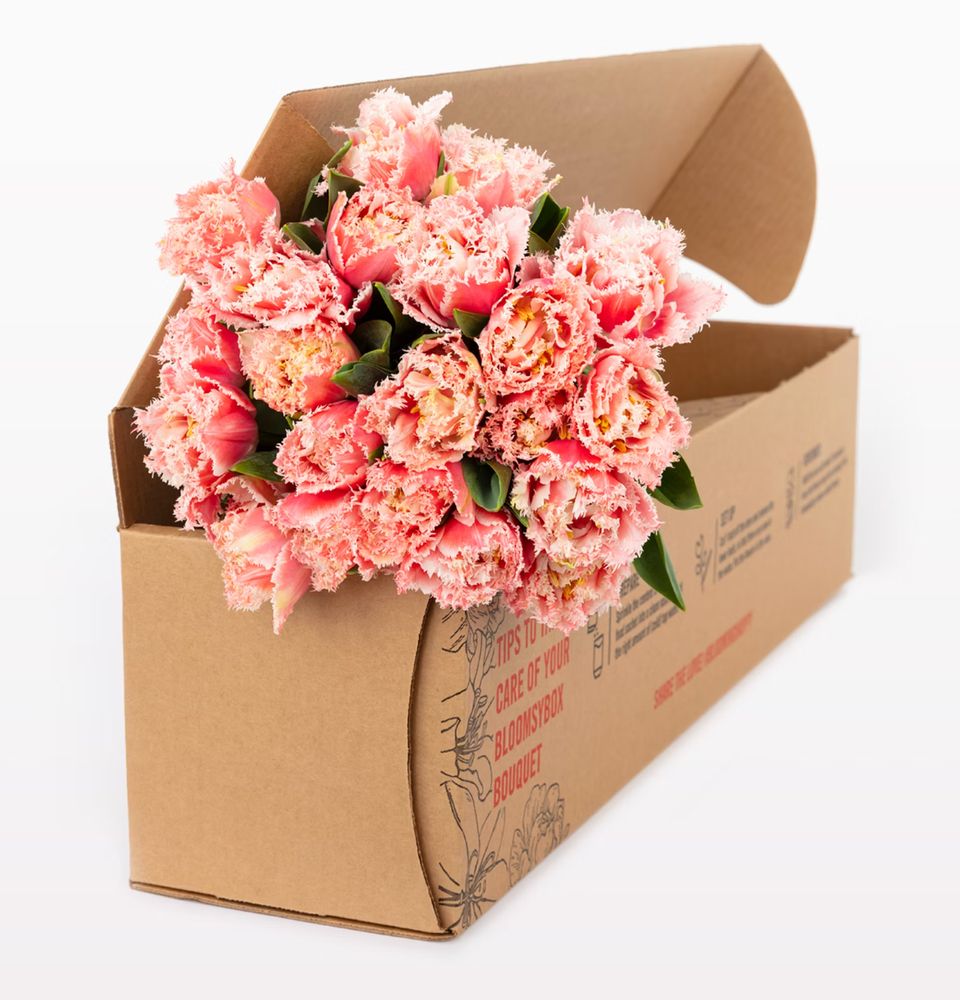 Save, Don't Splurge: Peony & Rose Bouquet - Blooms By The Box