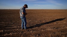 States Try Bans To Keep China From Upping Its Share Of U.S. Farmland — From Less Than 1%