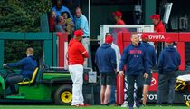 Phillies star Bryce Harper helps reunite young fan with family