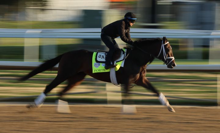 LOUISVILLE, KENTUCKY - MAY 04: Forte runs on the rack during the morning training for the Kentucky Derby at Churchill Downs on May 04, 2023 in Louisville, Kentucky. (Photo by Andy Lyons/Getty Images)