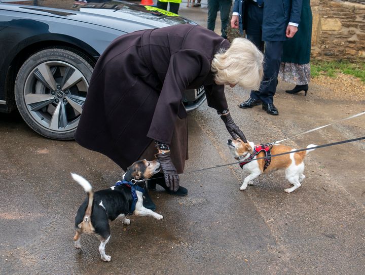 Camilla greets Bluebell (right) and Beth (left) on Jan. 25, 2023, in Lacock, England.